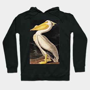 Bird of America  Bird, bird lover, america, beautiful  Public domain painting by John James Audubon Hoodie